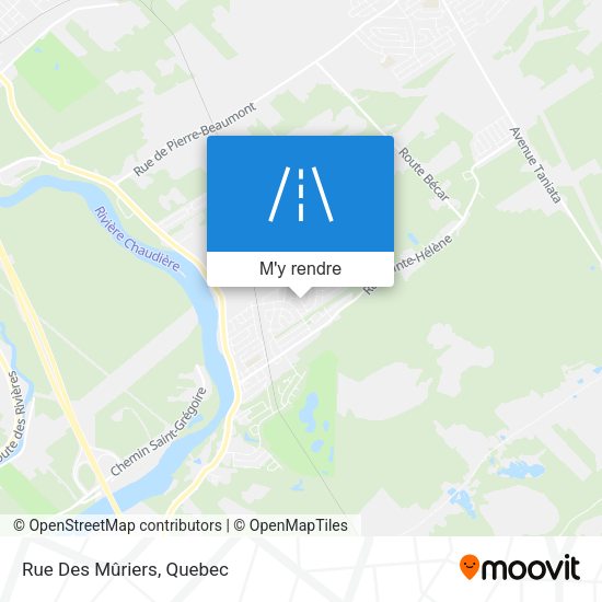 Rue Des Mûriers plan