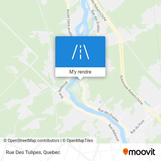 Rue Des Tulipes plan
