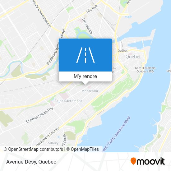 Avenue Désy plan