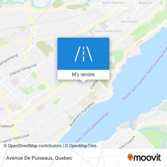 Avenue De Puiseaux plan