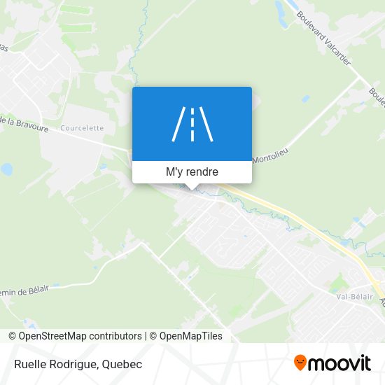 Ruelle Rodrigue plan