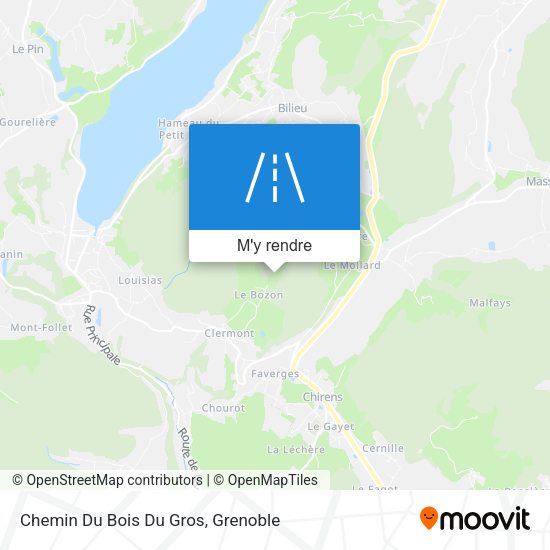 Chemin Du Bois Du Gros plan