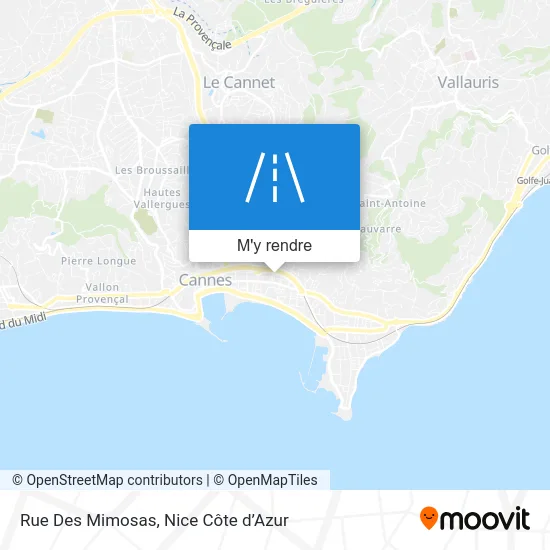 Rue Des Mimosas plan