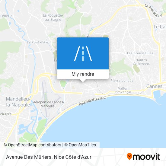 Avenue Des Mûriers plan