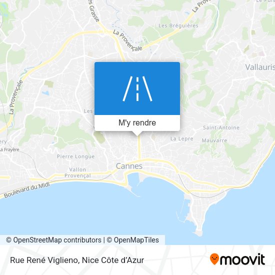 Rue René Viglieno plan