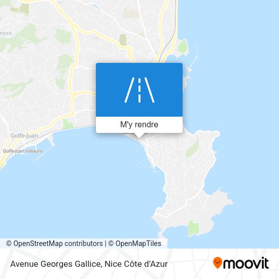 Avenue Georges Gallice plan