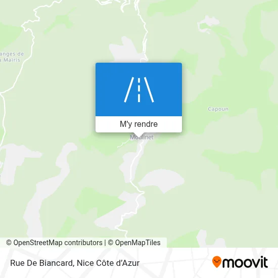 Rue De Biancard plan