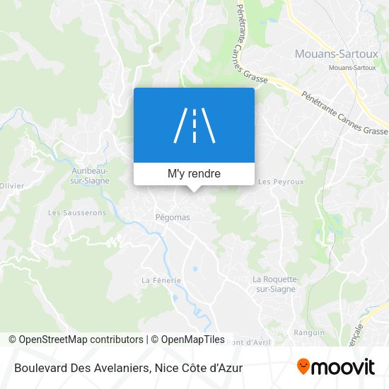 Boulevard Des Avelaniers plan