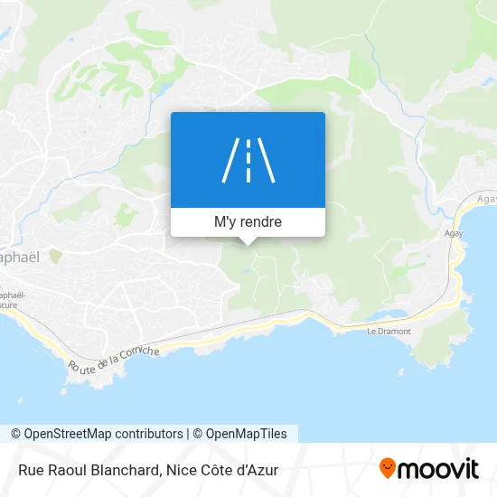 Rue Raoul Blanchard plan