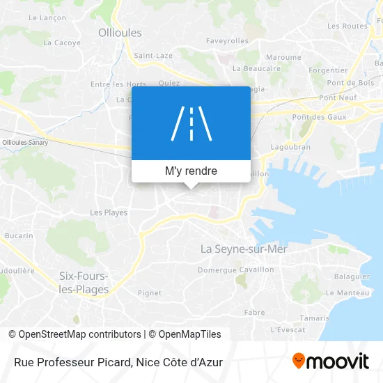 Rue Professeur Picard plan