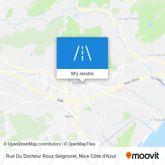 Rue Du Docteur Roux Seignoret plan
