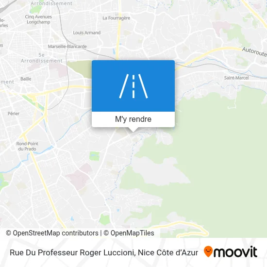 Rue Du Professeur Roger Luccioni plan
