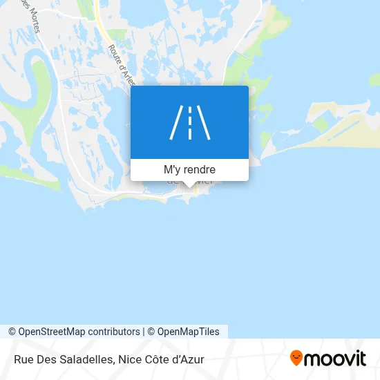 Rue Des Saladelles plan