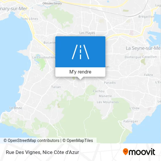 Rue Des Vignes plan