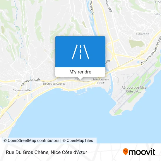 Rue Du Gros Chêne plan