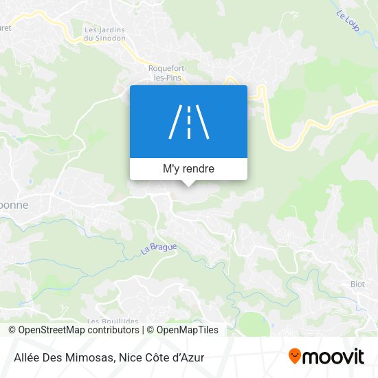 Allée Des Mimosas plan