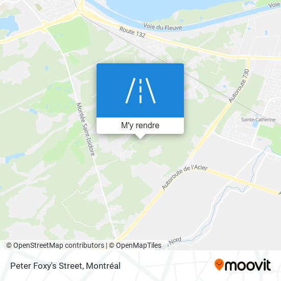Peter Foxy's Street plan