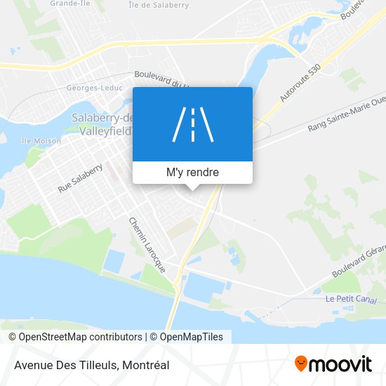 Avenue Des Tilleuls plan