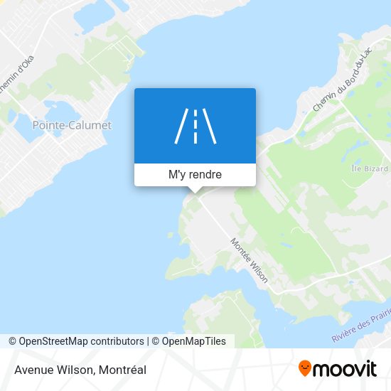Avenue Wilson plan