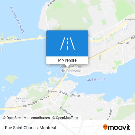 Rue Saint-Charles plan