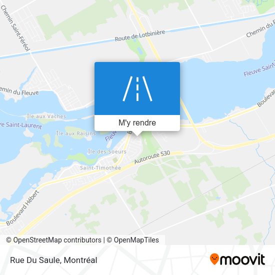 Rue Du Saule plan