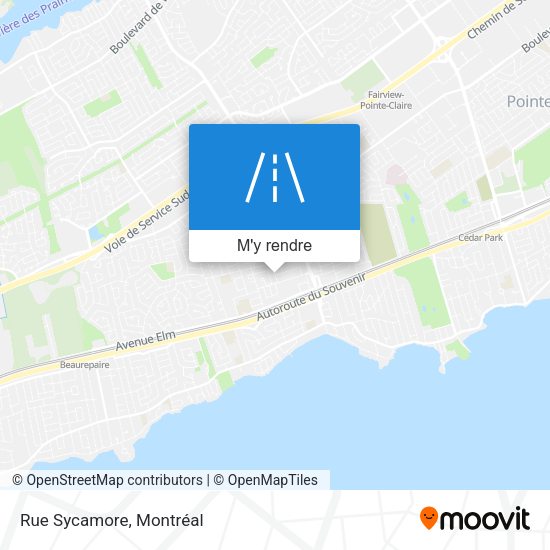 Rue Sycamore plan