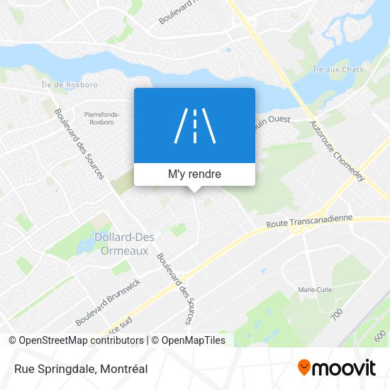 Rue Springdale plan
