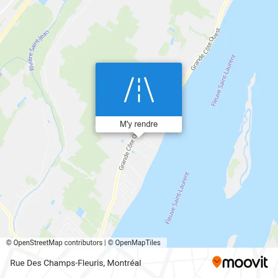 Rue Des Champs-Fleuris plan