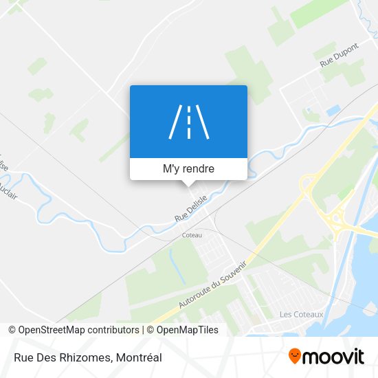 Rue Des Rhizomes plan