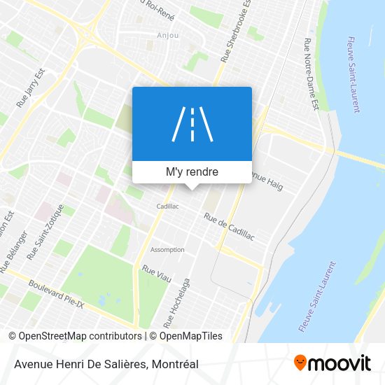 Avenue Henri De Salières plan