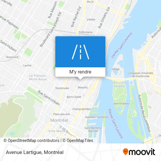 Avenue Lartigue plan