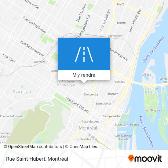 Rue Saint-Hubert plan