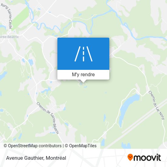 Avenue Gauthier plan