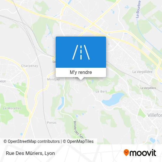 Rue Des Mûriers plan