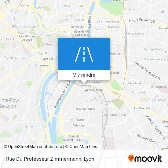Rue Du Professeur Zimmermann plan