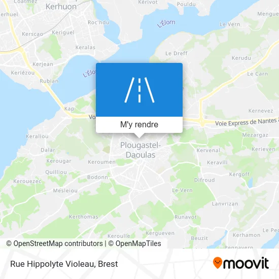 Rue Hippolyte Violeau plan