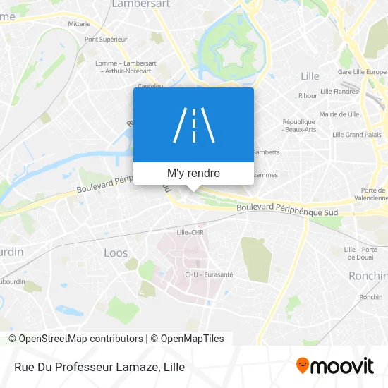 Rue Du Professeur Lamaze plan