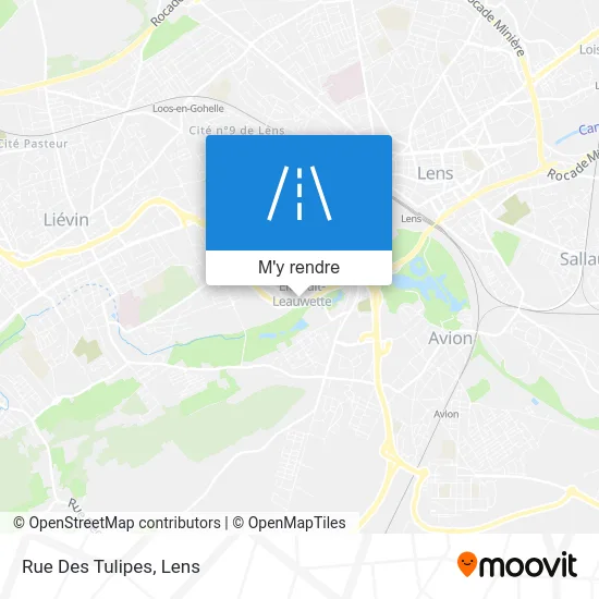 Rue Des Tulipes plan