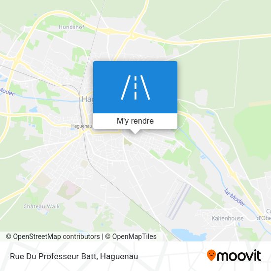 Rue Du Professeur Batt plan