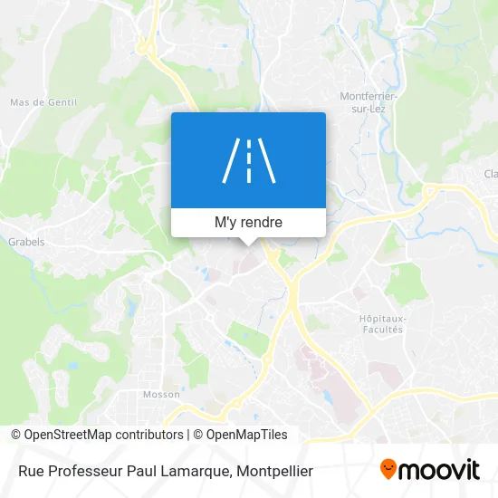 Rue Professeur Paul Lamarque plan