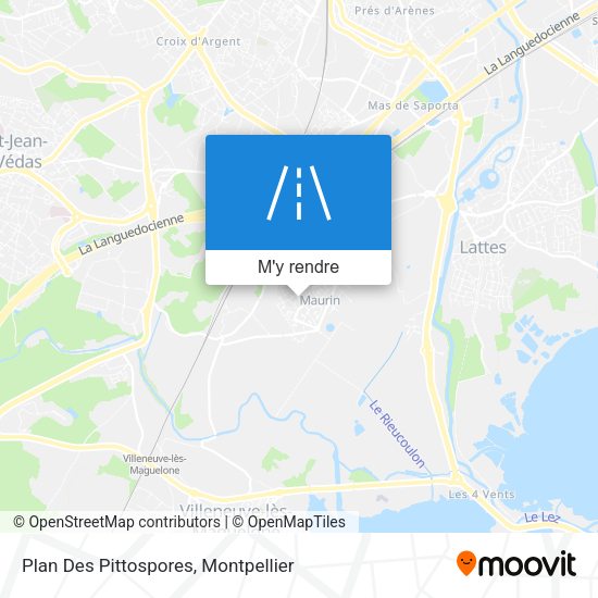 Plan Des Pittospores plan
