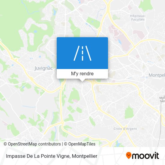 Impasse De La Pointe Vigne plan