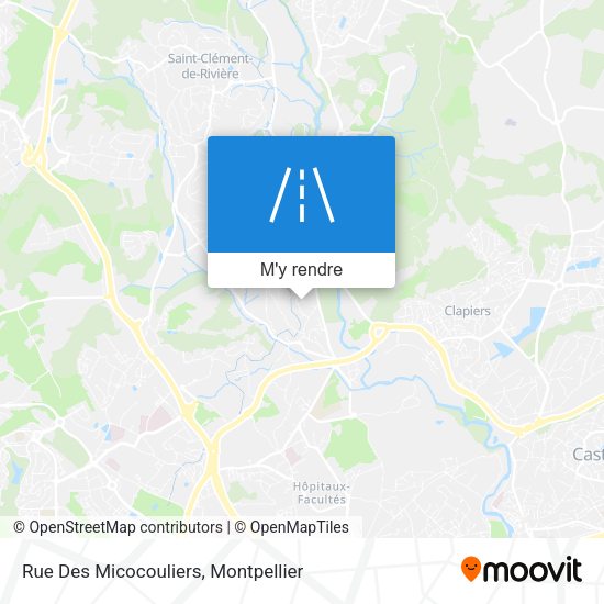 Rue Des Micocouliers plan