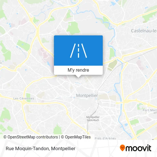 Rue Moquin-Tandon plan