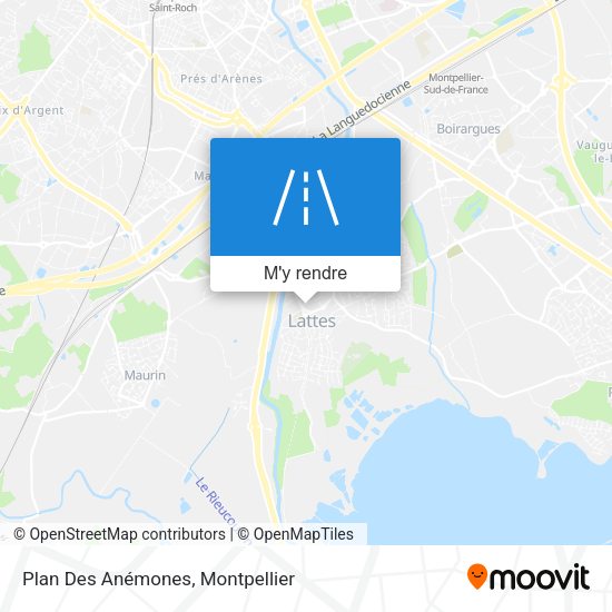 Plan Des Anémones plan