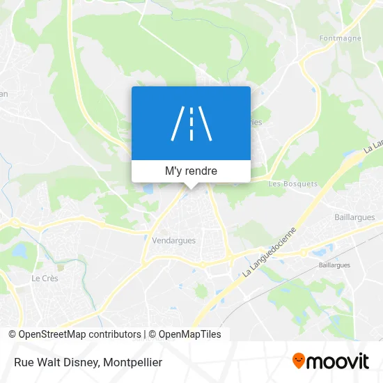 Rue Walt Disney plan