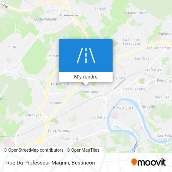 Rue Du Professeur Magnin plan