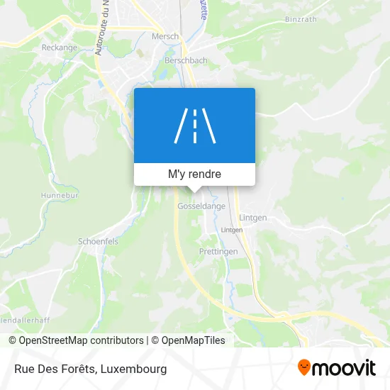 Rue Des Forêts plan