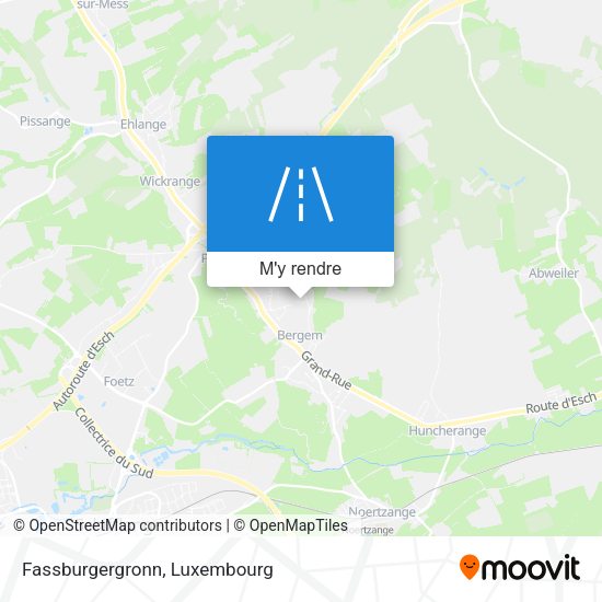 Fassburgergronn plan