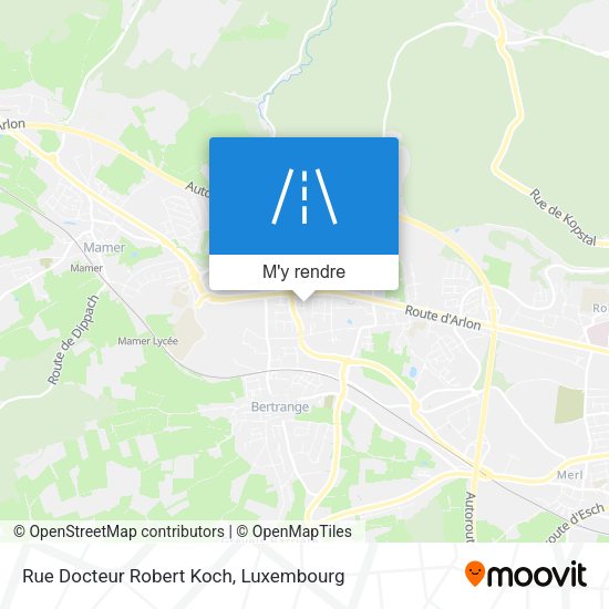 Rue Docteur Robert Koch plan